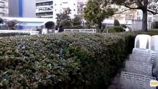 “别工作了，我想吃大肉棒”